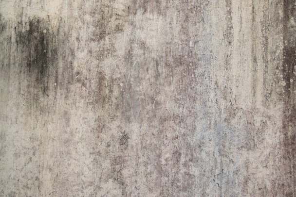 Αφηρημένη, Υφή του παλιού τσιμεντένιου τοίχου, Γκρι Τσιμέντο υφή αφηρημένη φόντο, παλιό τοίχο με λειχήνες, βρώμικο λευκό τοίχο φόντο close up βρύα υφή στον τοίχο τσιμέντου - Φωτογραφία, εικόνα