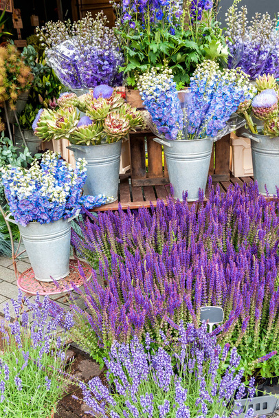 lush flowers in blue and purple at a market - Φωτογραφία, εικόνα