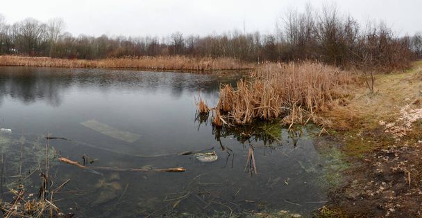 осіннє приміське болото, засипане побутовими відходами
 - Фото, зображення