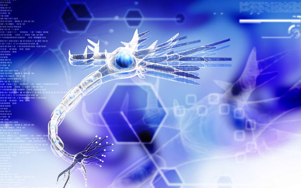 Digital illustration of  neuron  in colour  background 	 - Photo, image