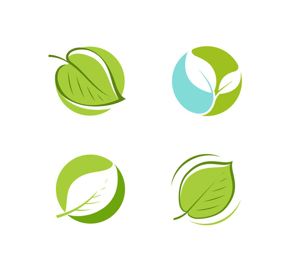 Logo de hoja verde. Hojas, naturaleza, símbolo de la ecología o vector icono
 - Vector, imagen