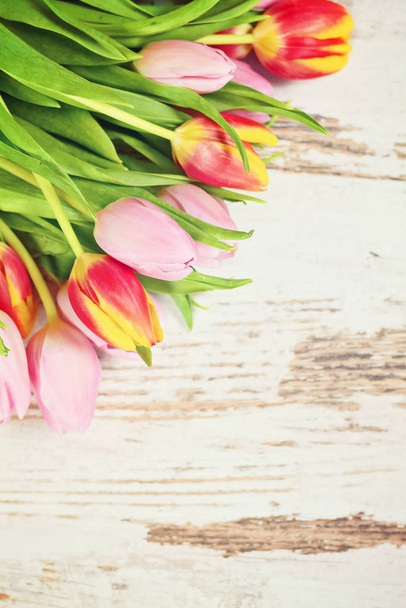 spring tulip flowers, flora petals  - Zdjęcie, obraz