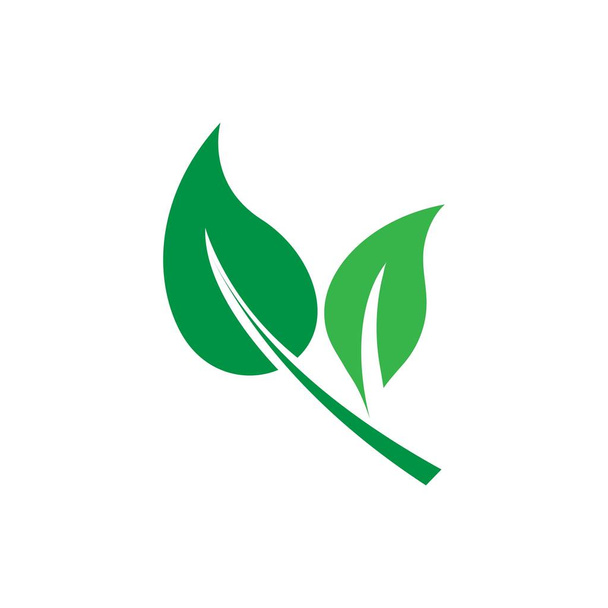 Green leaf logo  - Vector, imagen