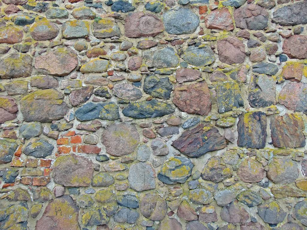city wall of templin - Фото, зображення