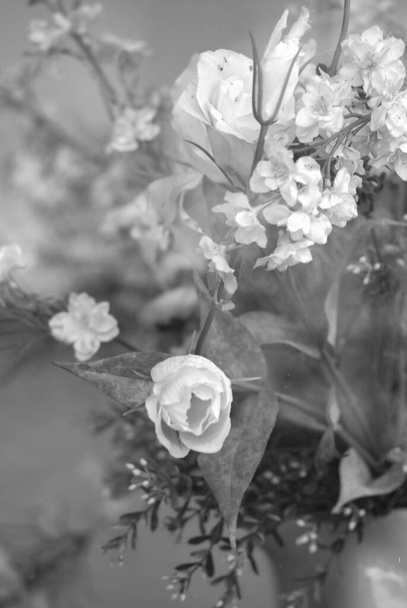 Ασπρόμαυρη εικόνα με τριαντάφυλλα σε μαύρο. Λευκή γαρδένια. - Φωτογραφία, εικόνα