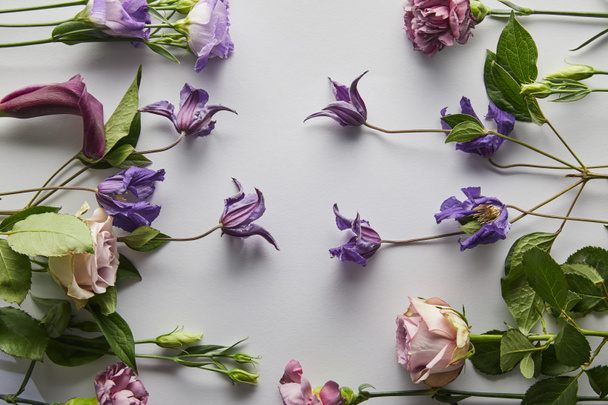 白を基調とした紫色の花の上からの眺め - 写真・画像