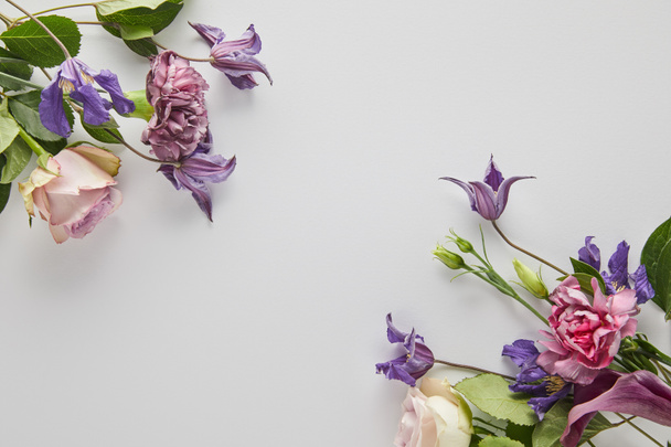 ylhäältä näkymä violetti ja violetti kukkia valkoisella taustalla
 - Valokuva, kuva