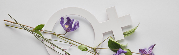 top view of violet flowers and venus sign on white background, panoramic shot - Zdjęcie, obraz