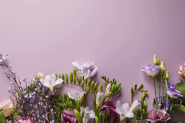 vista superior de hermosas flores sobre fondo violeta con espacio de copia
 - Foto, Imagen