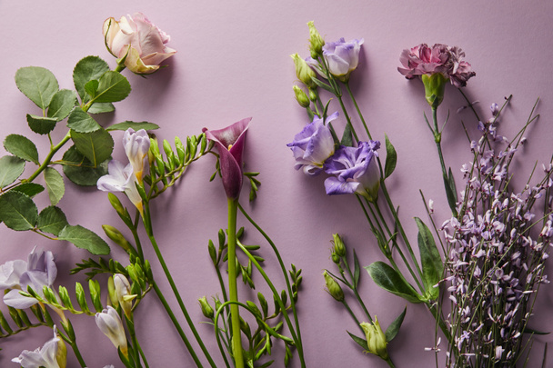 vrchní pohled na krásné květiny na fialovém pozadí - Fotografie, Obrázek