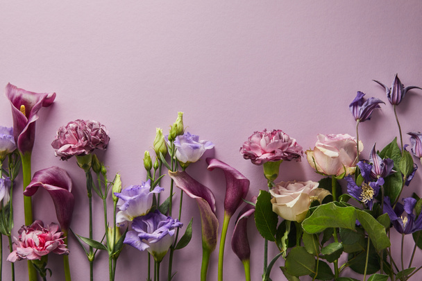 ylhäältä näkymä kauniita kukkia violetti tausta kopioi tilaa
 - Valokuva, kuva