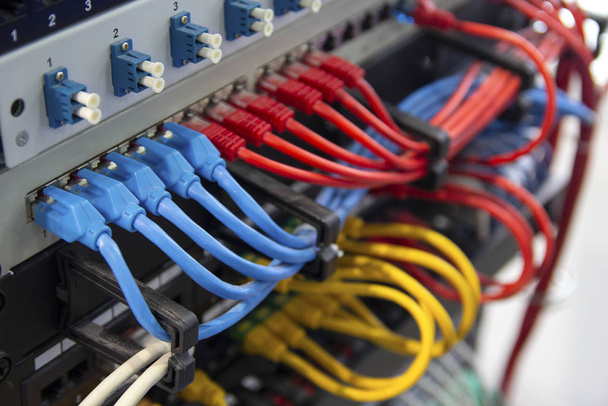 Conmutador de red y cables Ethernet UTP. Electrónica
 - Foto, Imagen