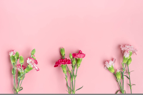 μπουκέτο από διαφορετικά ροζ γαρύφαλλα λουλούδια σε ροζ φόντο Κορυφή προβολή Flat lay Holiday card 8 Μαρτίου, Happy Valentines day, Mothers day concept - Φωτογραφία, εικόνα