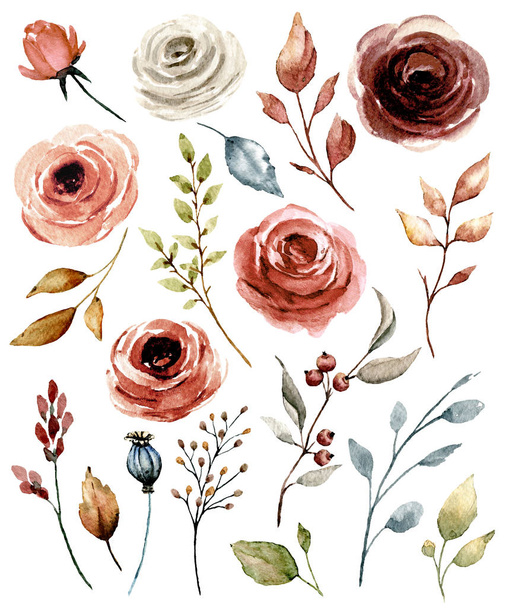 Set of watercolor floral drawing, vintage decoration - Valokuva, kuva