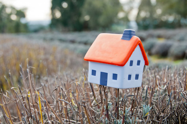 Mały miękki miniaturowy domek zabawek umieszczony na gałęzi lawendy w gospodarstwie - Zdjęcie, obraz