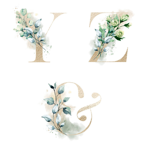 alfabeto floreale, lettere Y, Z e simbolo ampersand con fiori ad acquerello, design creativo d'arte, iniziali monografiche
 - Foto, immagini
