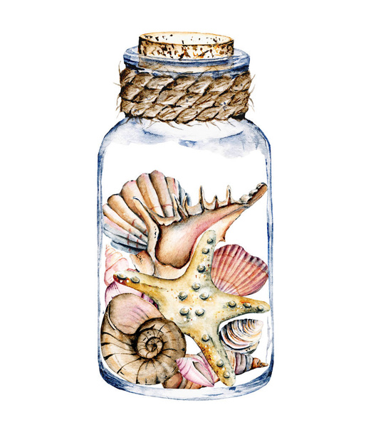 watercolor art painting, jar with sea star and shells - Fotó, kép