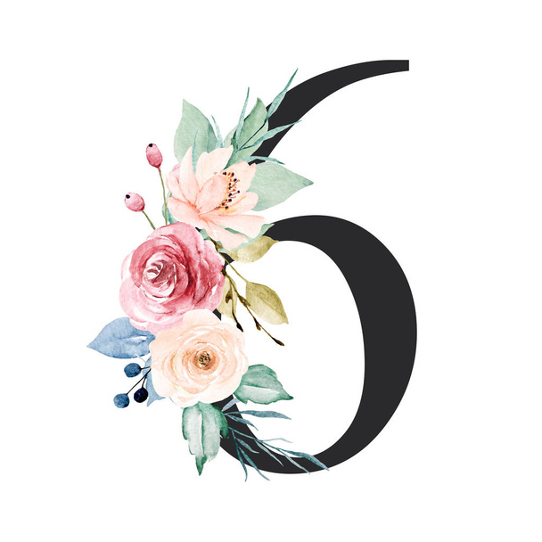 number 6 on white background, with flowers and leaves made with watercolor, floral monogram - Fotoğraf, Görsel