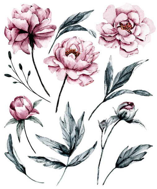 Bir dizi suluboya çiçek çizimi, klasik dekorasyon. - Fotoğraf, Görsel