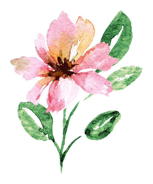  Käsi maalaus kukka valkoisella pohjalla, akvarelli kukka taidetta käsite
 - Valokuva, kuva