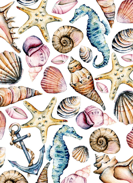 Seashells, marine paper, pattern. Watercolor seahorse, starfish and other shells. Beach design isolated on white background. Scenery hand drawing. Marine collection. - Foto, afbeelding
