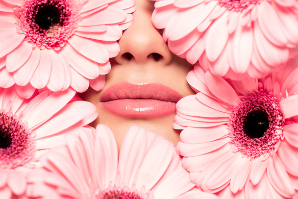 vista cortada do rosto da menina em flores de gerbera rosa
 - Foto, Imagem