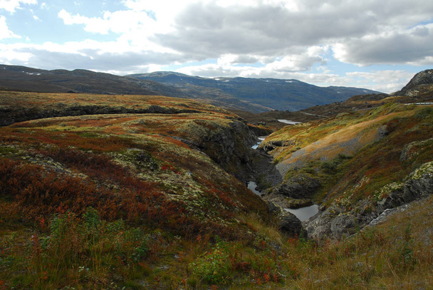 Norway on nature landscape background - Fotografie, Obrázek