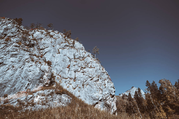 Rocky cliff in Altai mountains - Φωτογραφία, εικόνα