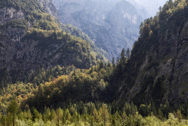 valley in the julian alps - Foto, Bild