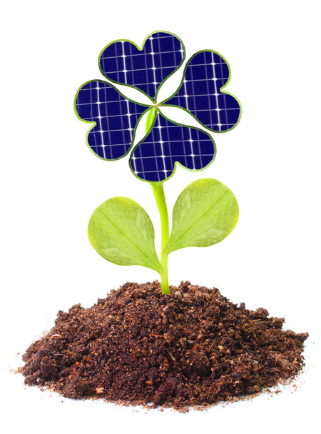 Solar energy panels from clover leaves - Photo, Image
