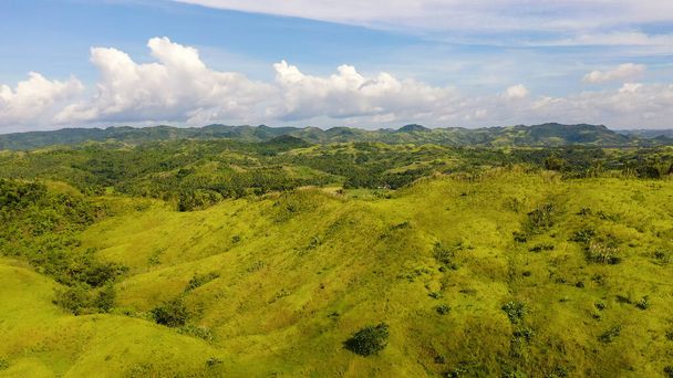 Yeşil tepeler, pirinç tarlaları, hava manzarası. Filipin Adalarının doğası, Samar. - Fotoğraf, Görsel