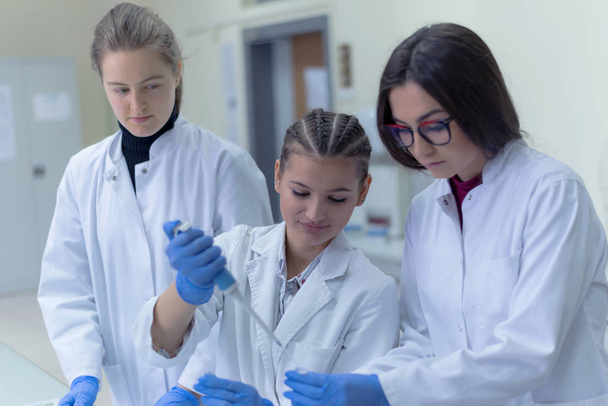 Skupina laboratorních vědců pracujících v laboratoři se zkumavkami,  - Fotografie, Obrázek