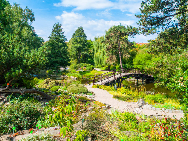 Holzbrücke über den See im japanischen Garten. Botanischer Garten in Breslau, Polen - Foto, Bild