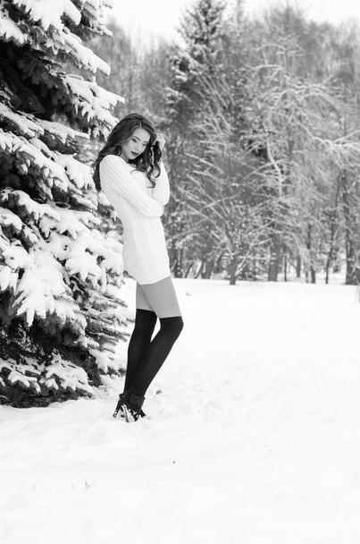 Βασίλισσα του χιονιού. Πορτραίτο μιας γυναίκας του χειμώνα. - Φωτογραφία, εικόνα