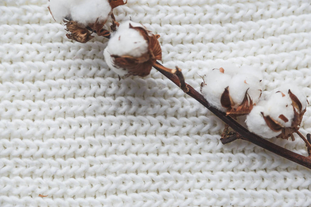 Fiore di cotone con cappuccio a maglia e sciarpa, posa piatta su sfondo di marmo, stile invernale
 - Foto, immagini