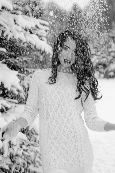 Βασίλισσα του χιονιού. Πορτραίτο μιας γυναίκας του χειμώνα. - Φωτογραφία, εικόνα