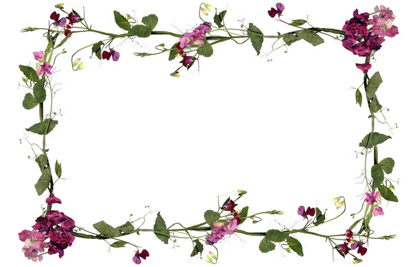 frame of flowers interlaced isolated on white background for inscription - Foto, Imagem