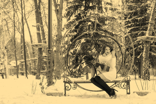 Снежная королева Портрет зимней женщины
. - Фото, изображение