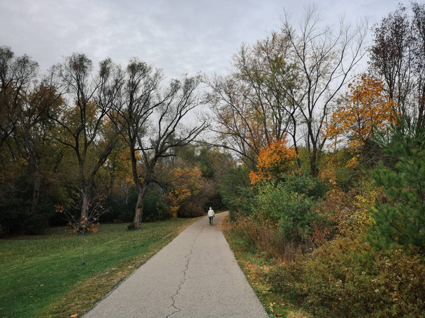 背の高い木の間の秋の公園で彼の道を歩いている老人。Vi - 写真・画像