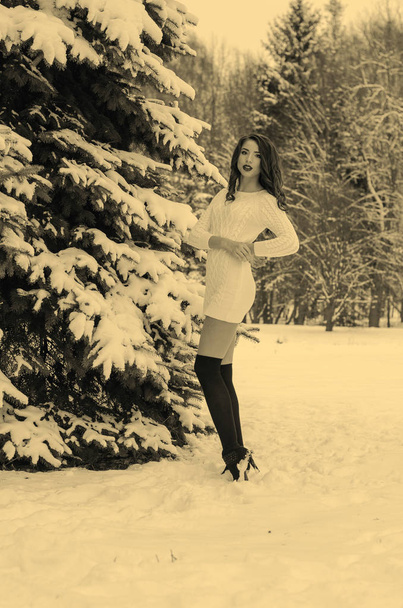 Снігова королева. Портрет зимової жінки
. - Фото, зображення
