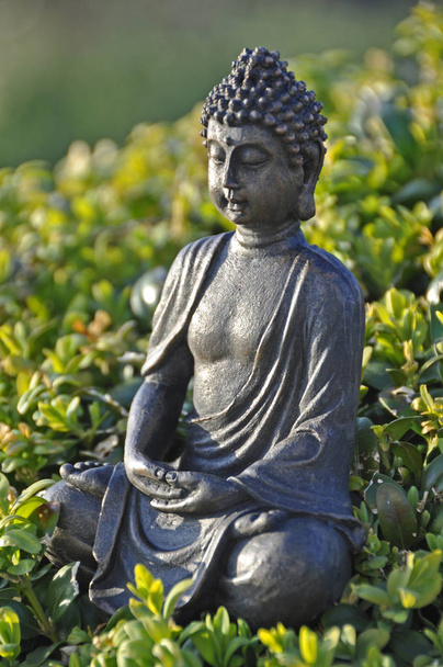 Buddhism religion, Gautama Buddha - Valokuva, kuva