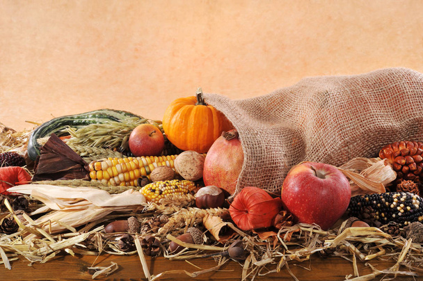 thanksgiving - various squashes,corn cob,apples and grains in jute sack on straw with copy space against brown background\n - Foto, immagini