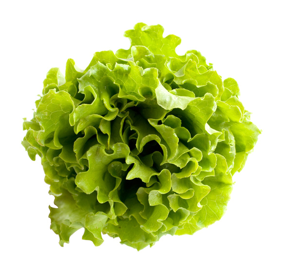 Salad leaves - Photo, Image