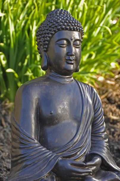 Buddhism culture and spirituality, Gautama Buddha - Foto, immagini