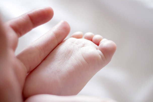 pierna de un recién nacido en la mano de un adulto
 - Foto, Imagen