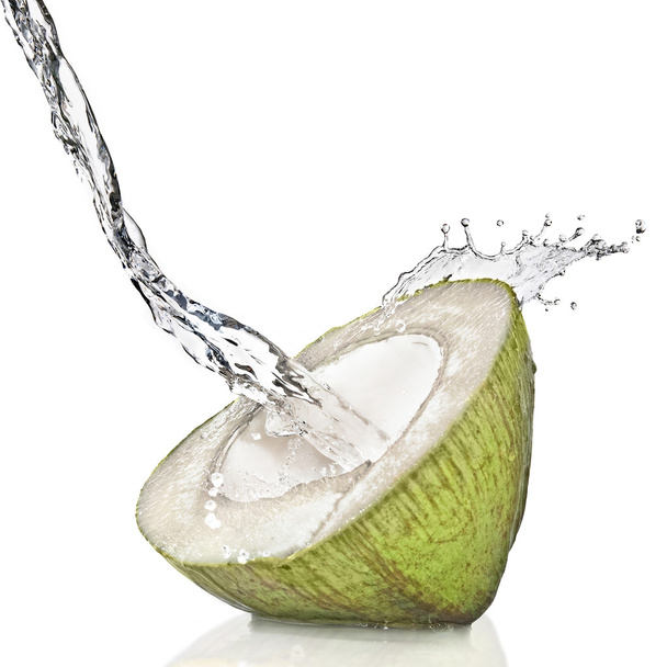 Green coconut with water splash - Фото, изображение