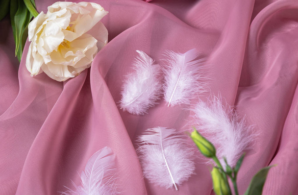 penas brancas com uma tulipa em um fundo rosa
 - Foto, Imagem