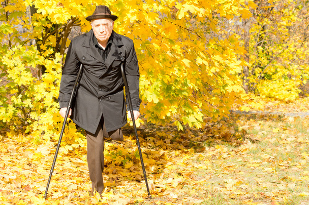 Handicapped elderly male amputee in a fall park - Photo, image