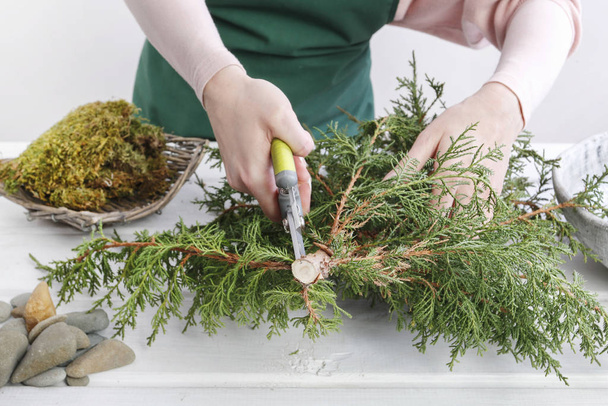 Woman shows how to make small christmas tree with a coniferous s - Zdjęcie, obraz