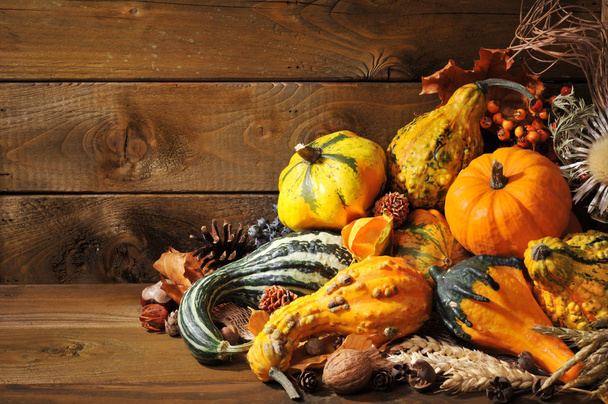 thanksgiving - various squashes with nuts,berries and cereal before a wooden wall - Photo, Image